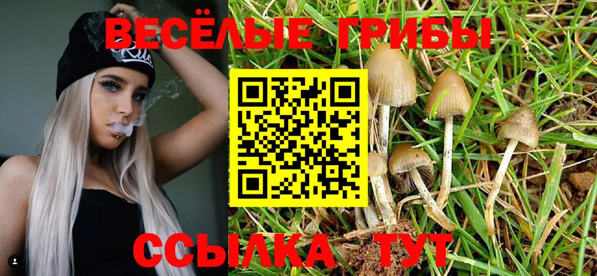 Озёры  Галлюциногенные грибы Magic Shrooms  Галлюциногенные грибы мухоморы  Вход с VPN 