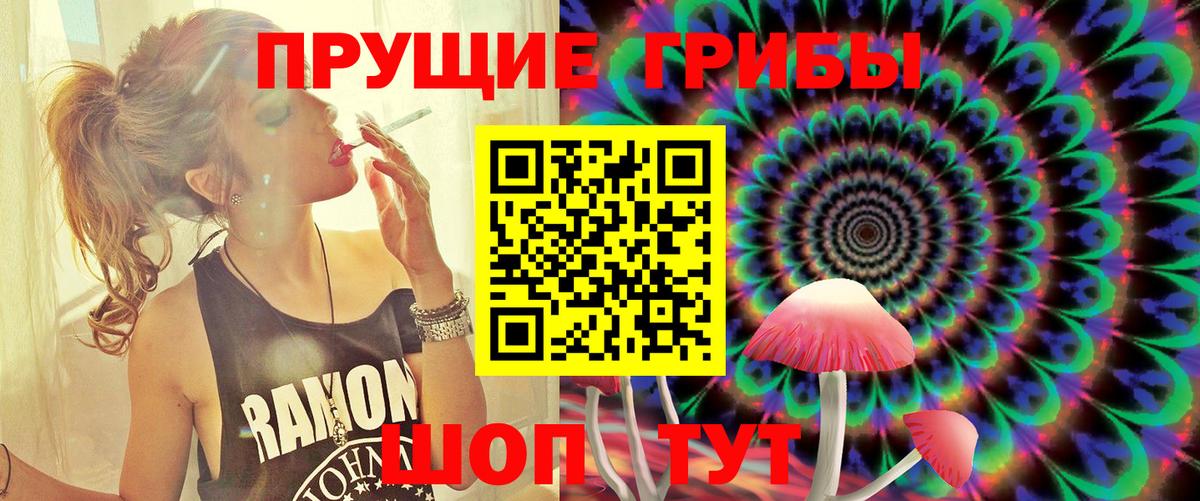 Галлюциногенные грибы Cubensis Озёры